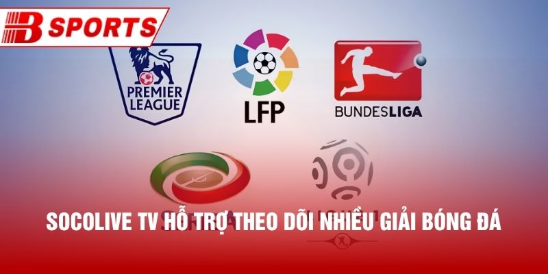 Socolive TV hỗ trợ theo dõi nhiều giải bóng đá